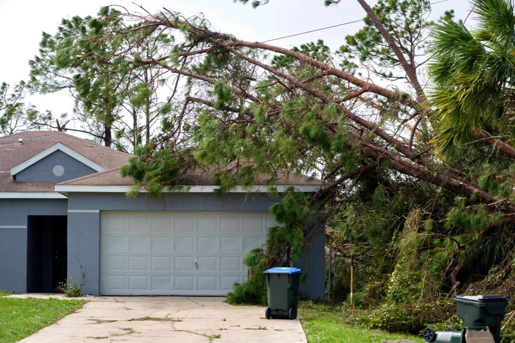 Tree Removal, Tree Disposal, Tree Trimming, Stump Grinding, Storm Damage Cleanup, Tree Services