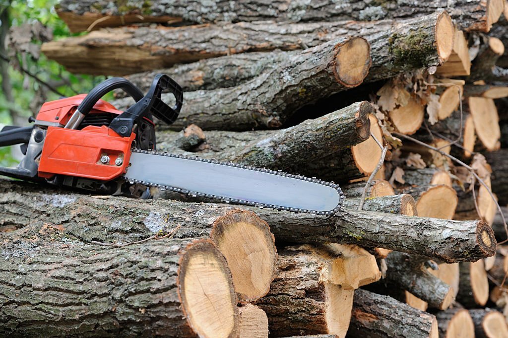 Tree Removal, Tree Disposal, Tree Trimming, Stump Grinding, Storm Damage Cleanup, Tree Services